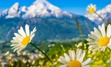 木质发条的个人空间