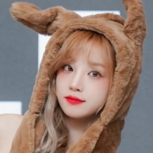 曲琦曲琦的钢琴谱