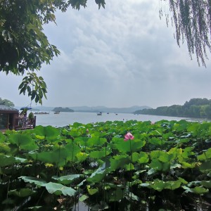 193****5393的钢琴谱