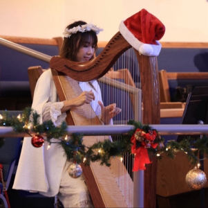 大鱼的演奏视频