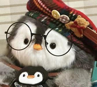 Cici琪的个人空间