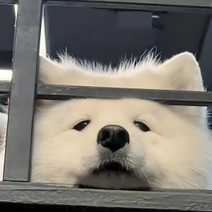 本荣本的个人空间