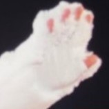 一口吃掉深深宝贝的嫑~的个人空间