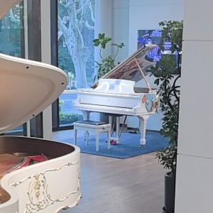 戴云舟的音乐的个人空间