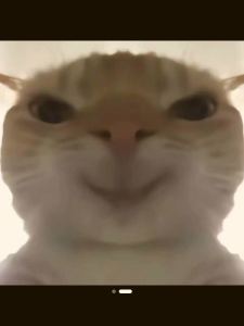 求互关的钢琴谱