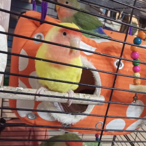 Karefus的个人空间