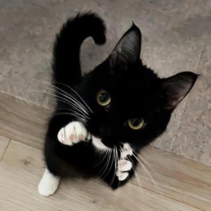 Mystery of Love的演奏视频