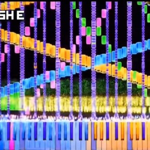 15.老麦克唐纳的演奏视频