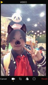 恋相思的个人空间