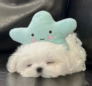 Ada_11的个人空间