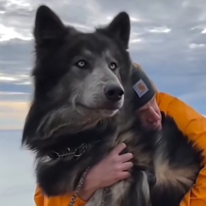 M.丹的个人空间