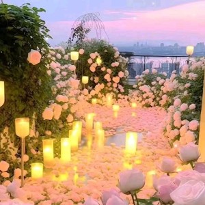 芊芊的个人空间