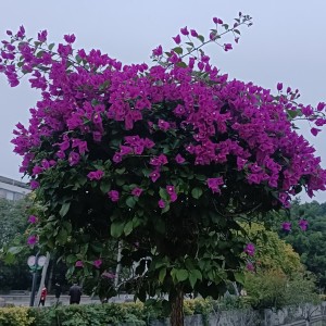 150****7071的个人空间