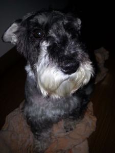 135****7587的钢琴谱