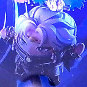 派对动物的演奏视频