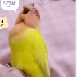 185****0280的钢琴谱