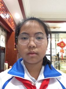 花之舞的演奏视频