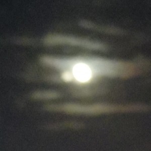 稻米.L的钢琴谱