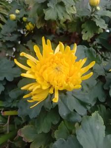 周周的个人空间