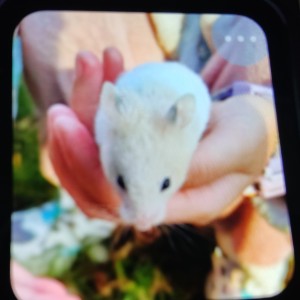 139****2690的个人空间