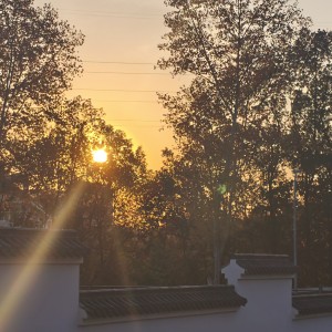 196****1156的个人空间