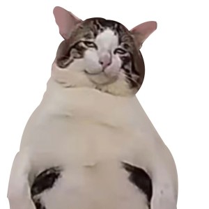 大肥基的钢琴谱