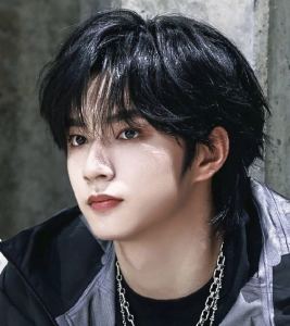 一只抽象的狼崽的个人空间