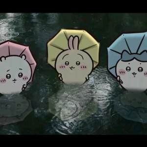 花海的演奏视频