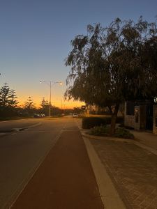 610****71137的钢琴谱