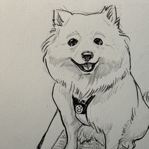 葛漂亮的钢琴谱