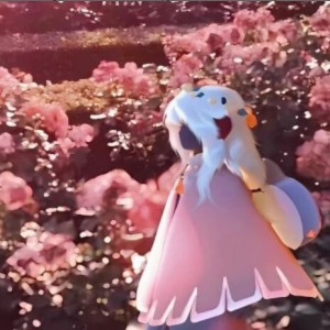 コウを追いかけて的演奏视频