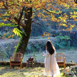 风起想晴的钢琴谱