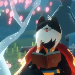 sky清风爱练琴的钢琴谱