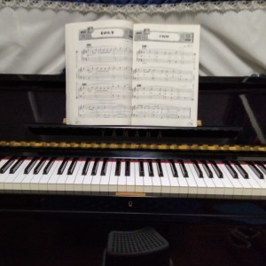 齐齐的个人空间