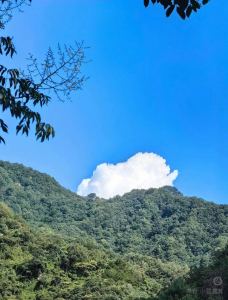 靳钦（137... 1870)的钢琴谱