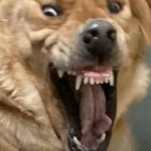 自嗨的小梁的钢琴谱