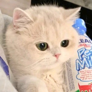 龙陇转小雨的钢琴谱