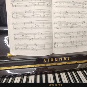 抑郁的阿拉斯加的钢琴谱