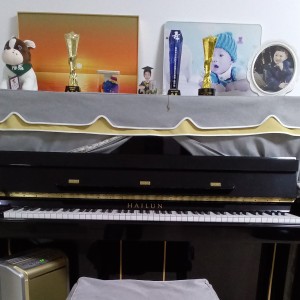 土耳其进行曲的演奏视频