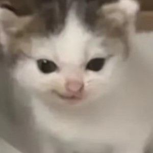 小桃桃的钢琴谱