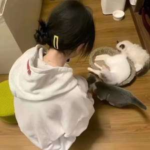 Je t'aime.的钢琴谱