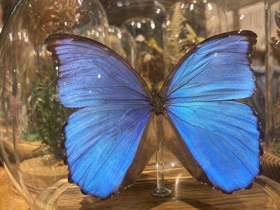 186****6957的钢琴谱