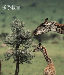 158****8899的个人空间