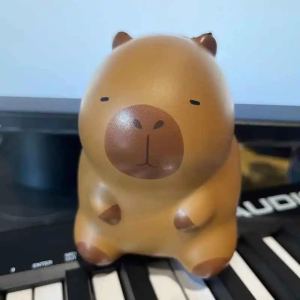 晴天的演奏视频