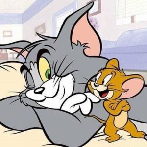 185****2965的个人空间