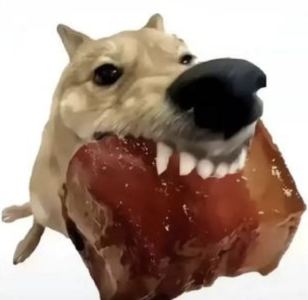 退永的个人空间