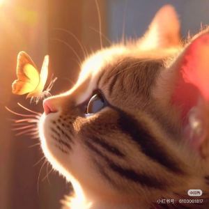 献给爱丽丝的演奏视频