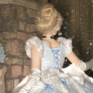 一只杨的钢琴谱