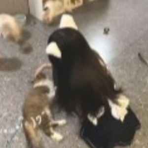 巴菲特的钢琴谱