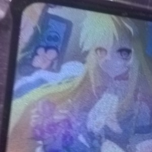 猫小棠的个人空间